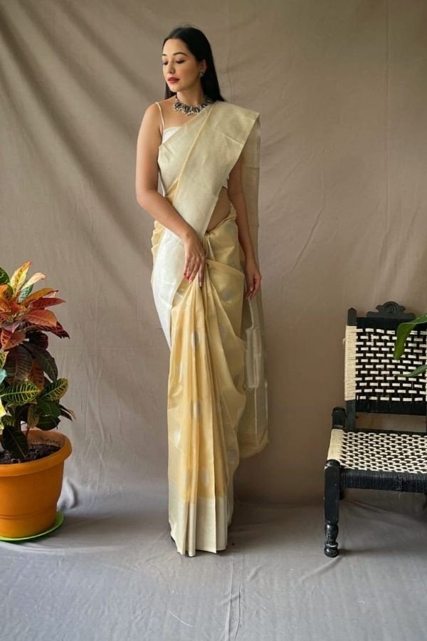 Linen Saree Silver Zari Work All Over